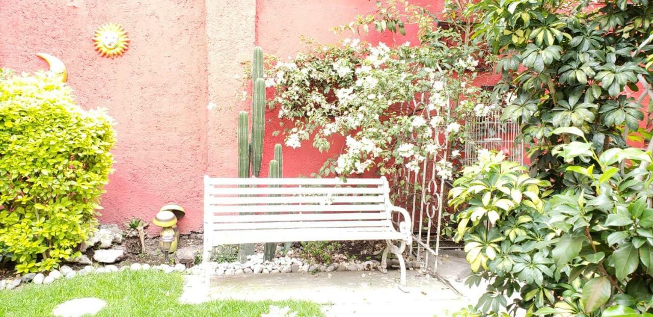 Anys Hostal Mexico City Eksteriør billede